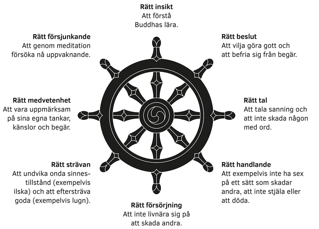 Bild: Ett hjul med åtta ekrar. Vid varje eker står ett budskap. De åtta budskapen är: 1. Rätt insikt. Att förstå Buddhas lära. 2. Rätt beslut. Att vilja göra gott och befria sig från begär. 3. Rätt tal. Att tala sanning och inte skada någon med ord. 4. Rätt handlande. Att exempelvis inte ha sex på ett sätt som skadar andra, att inte stjäla eller att döda. 5. Rätt försörjning. Att inte livnära sig på att skada andra. 6. Rätt strävan. Att undvika onda sinnestillstånd (exempelvis ilska) och att eftersträva goda (exempelvis lugn). 7. Rätt medvetenhet. Att vara uppmärksam på sina egna tankar, känslor och begär. 8. Rätt försjunkande. Att genom meditation försöäka nå uppvaknande.